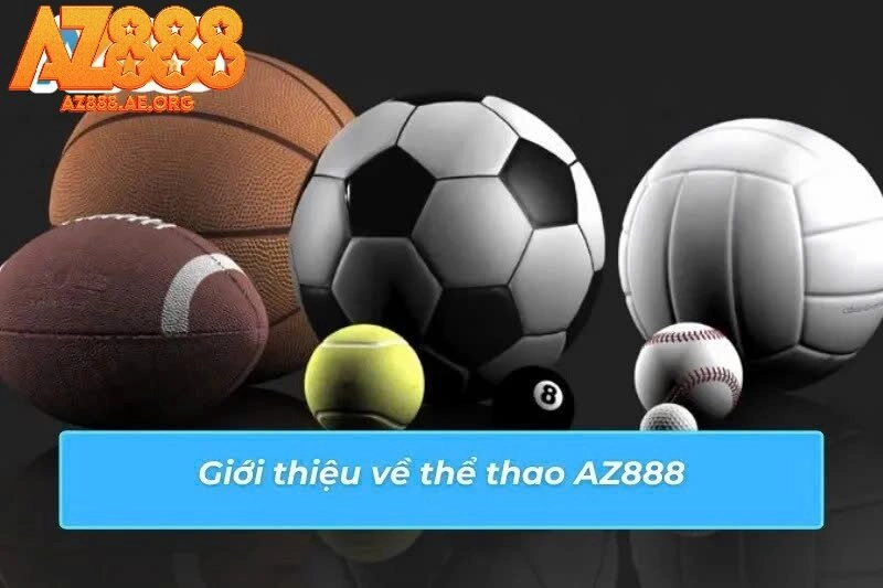 Điểm đến cá cược dành cho mọi tín đồ thể thao